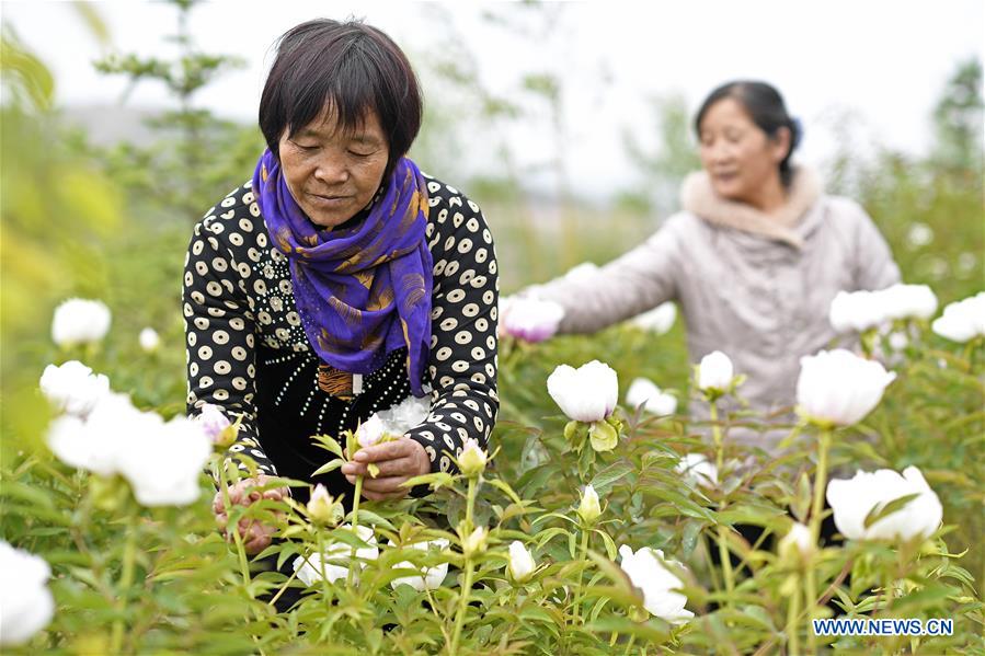 CHINA-NINGXIA-POVERTY ALLEVIATION (CN)