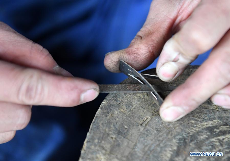 CHINA-GUANGXI-INSTRUMENT-LUSHENG-MAKING (CN)