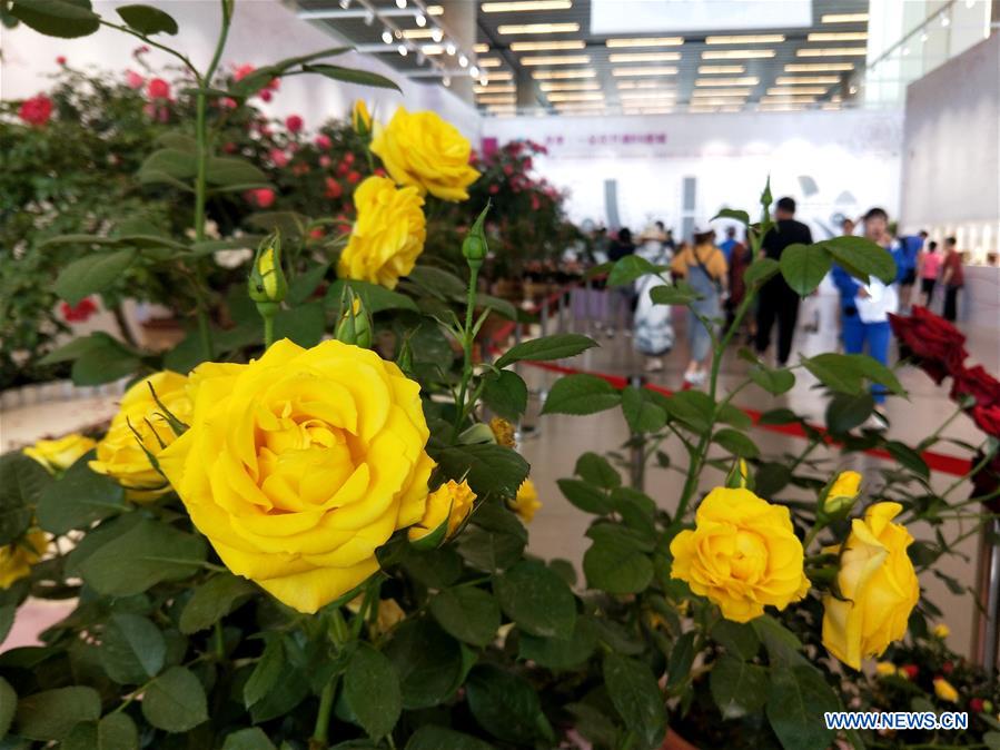 (BeijingCandid)CHINA-BEIJING-HORTICULTURAL EXPO (CN)