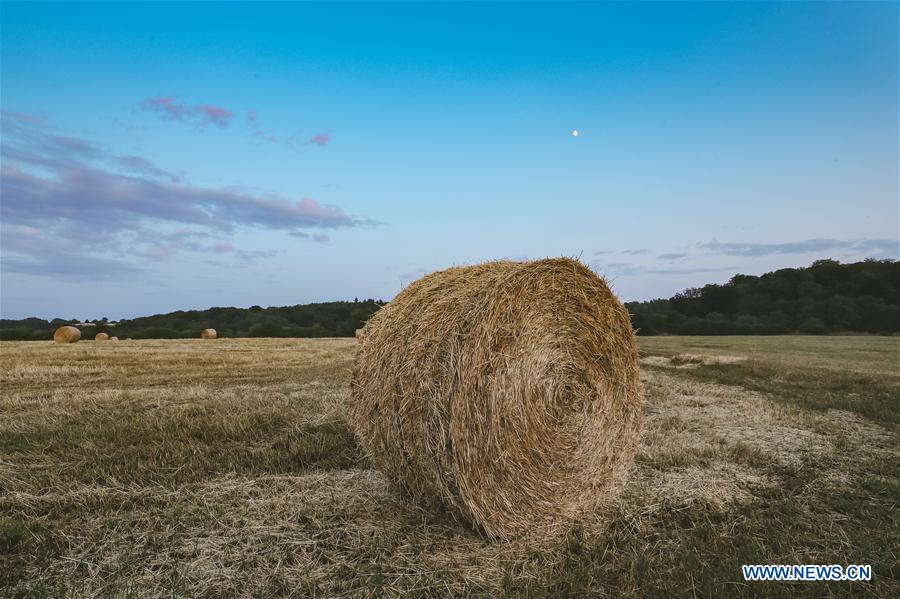 LUXEMBOURG-LENNINGEN-FIELD-SCENERY