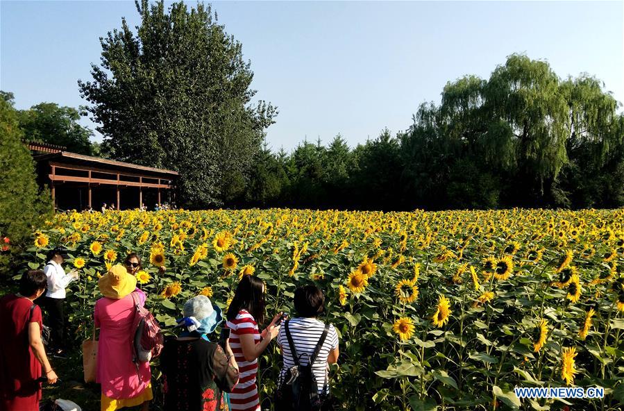 (BeijingCandid)CHINA-BEIJING-SUMMER (CN)