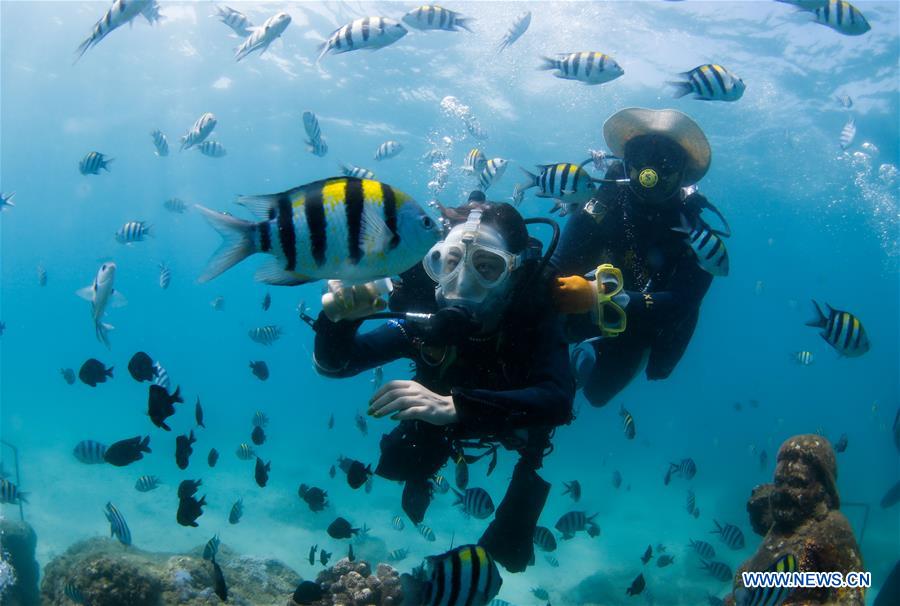 CHINA-HAINAN-BOUNDARY ISLAND-DIVING (CN)