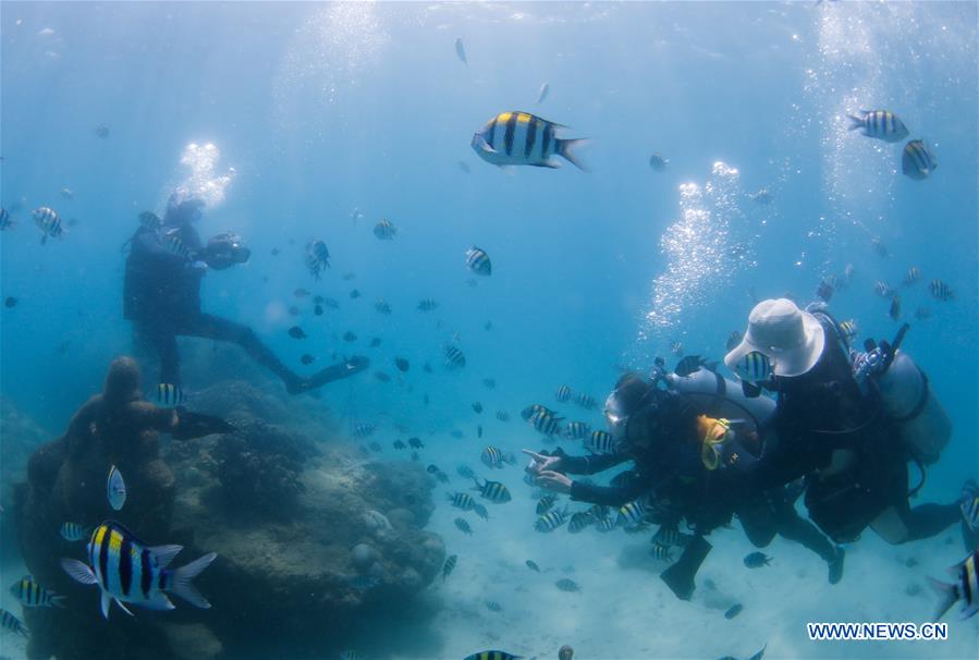 CHINA-HAINAN-BOUNDARY ISLAND-DIVING (CN)