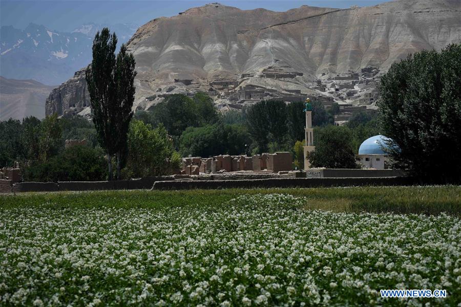 AFGHANISTAN-BAMYAN-POTATO BLOSSOM-FESTIVAL