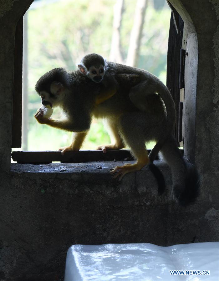 CHINA-ANHUI-HEFEI-ZOO-WEATHER (CN)