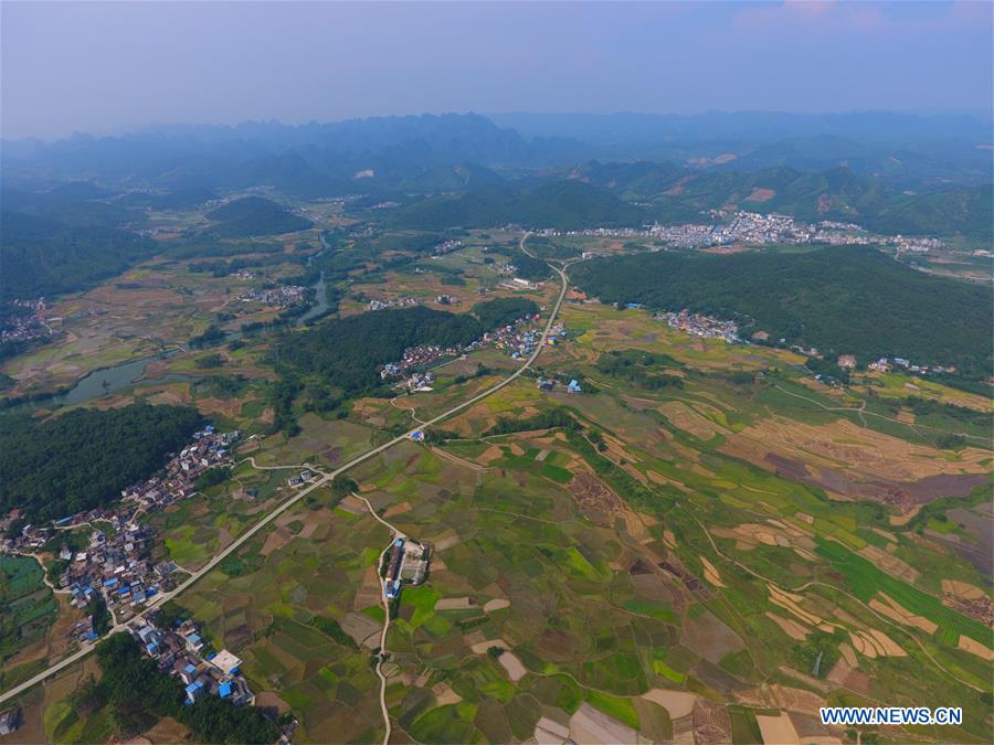 CHINA-GUANGXI-RONG'AN-FIELDS-SCENERY (CN)