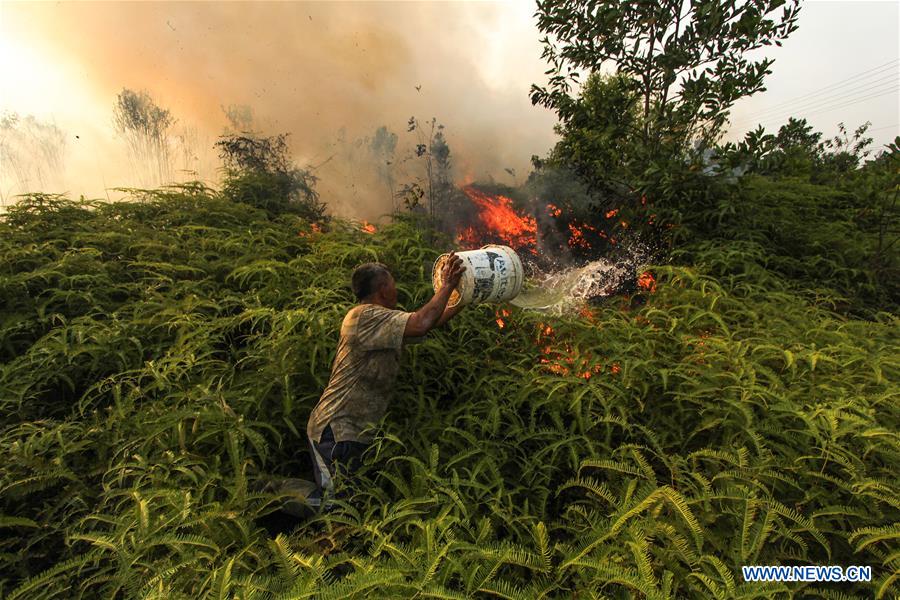 INDONESIA-RIAU-FIRE