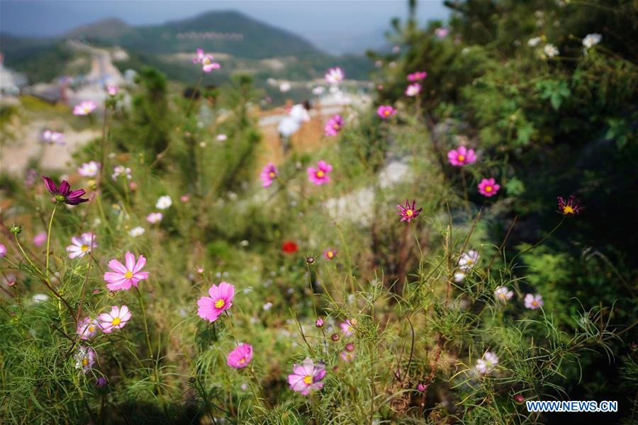 CHINA-HEBEI-TAIHANG MOUNTAIN-SCENERY (CN)