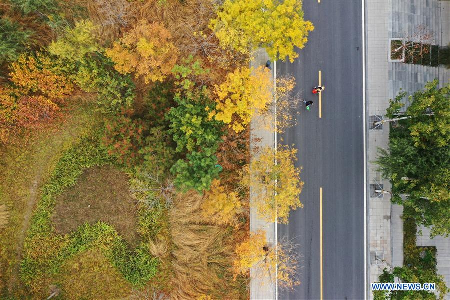 CHINA-HEBEI-XIONGAN-AUTUMN-AERIAL VIEW (CN)