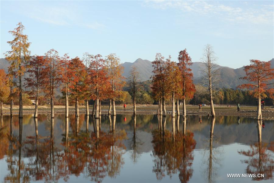 CHINA-ANHUI-HUANGSHAN-WINTER SCENERY (CN)