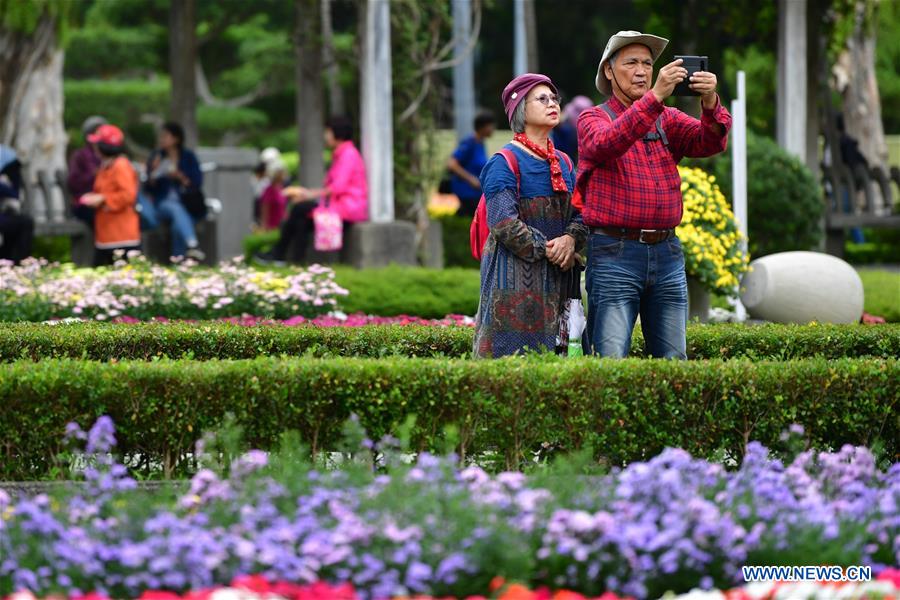 CHINA-TAIPEI-CHRYSANTHEMUM SHOW (CN)