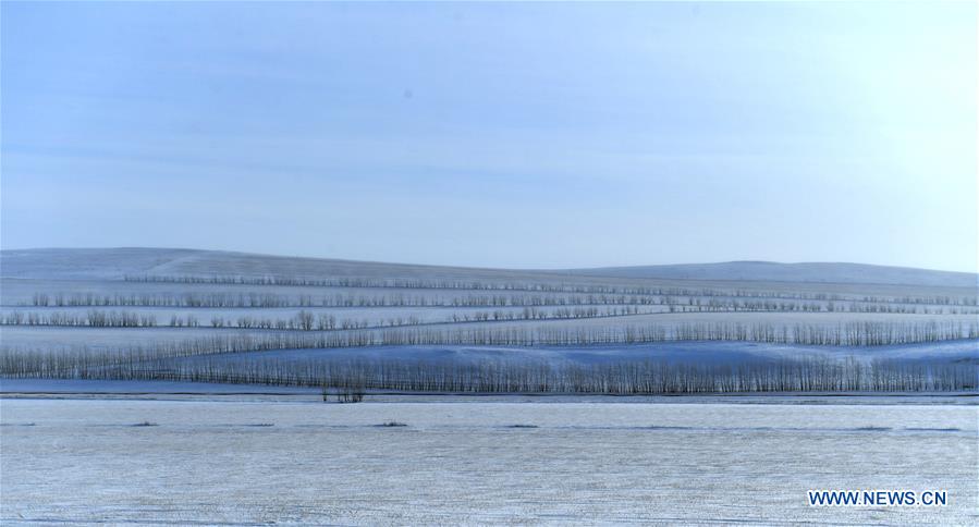 CHINA-INNER MONGOLIA-HULUN BUIR-WINTER (CN)