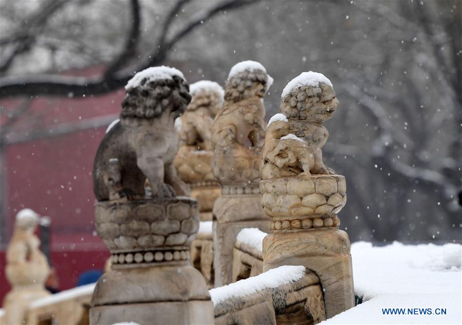 CHINA-BEIJING-SNOWFALL (CN)