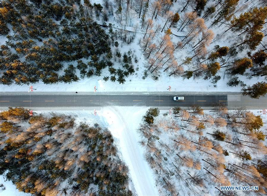 #CHINA-HEILONGJIANG-MOHE-WINTER SCENERY (CN)