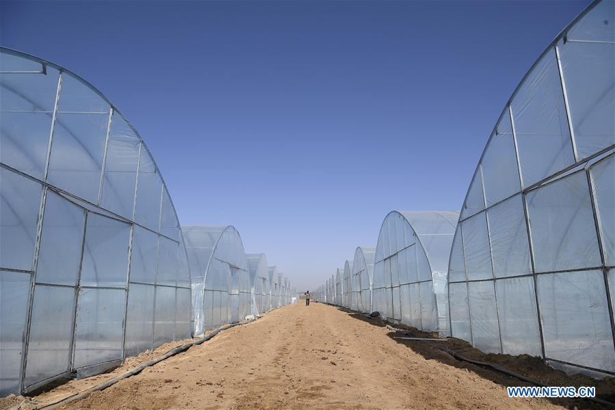 CHINA-NINGXIA-YINCHUAN-SPRING-FARMING (CN)