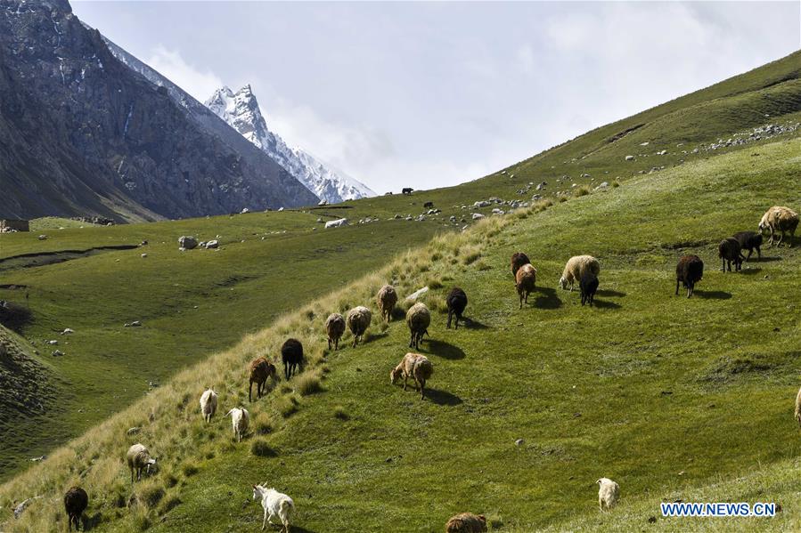 CHINA-XINJIANG-TAXKORGAN-PASTURE-SCENERY (CN)