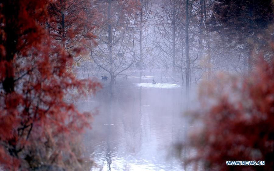 CHINA-YUNNAN-KUNMING-WETLAND (CN)