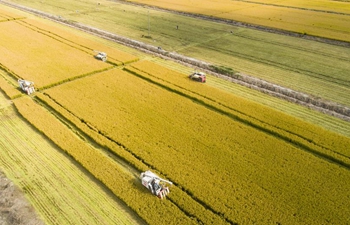 People embrace harvest across China