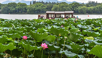 West Lake closed except for residents and working staff from Sept. 1 to 6