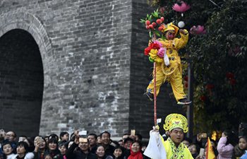 Folk performance held in Shandong to greet new year