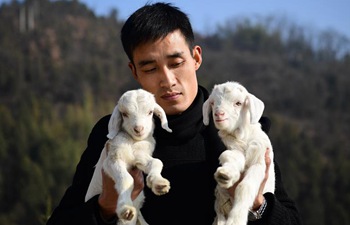 Pic story: Migrant worker Zhao Lei and his breeding business