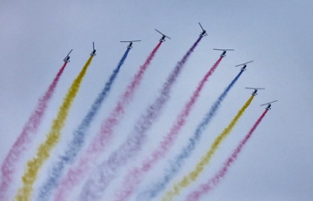 Air sports carnival held in Hengshui City, N China's Hebei