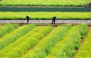 In pics: Farmers work at fields in China