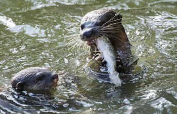 World Wildlife Day marked