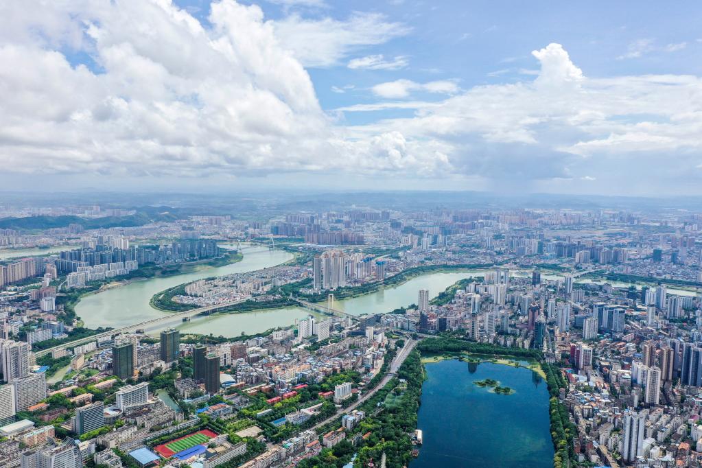 雨后城市湿地美