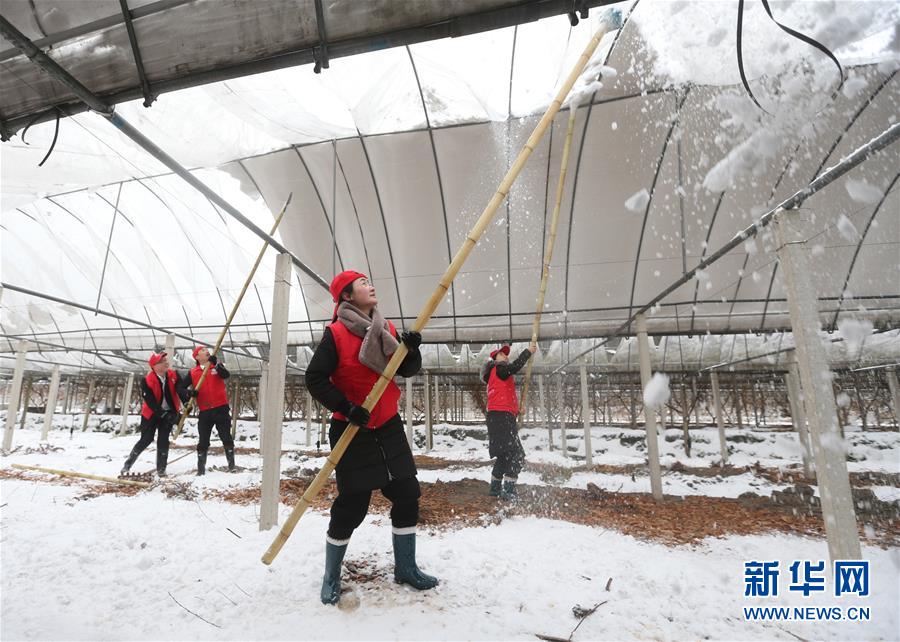 #（社会）（8）除冰扫雪保安全