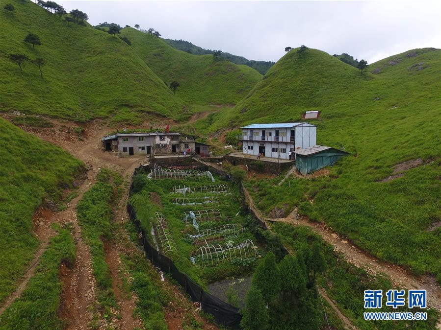 （新华全媒头条·图文互动）（3）一个人，一座山——刘真茂的生命守望