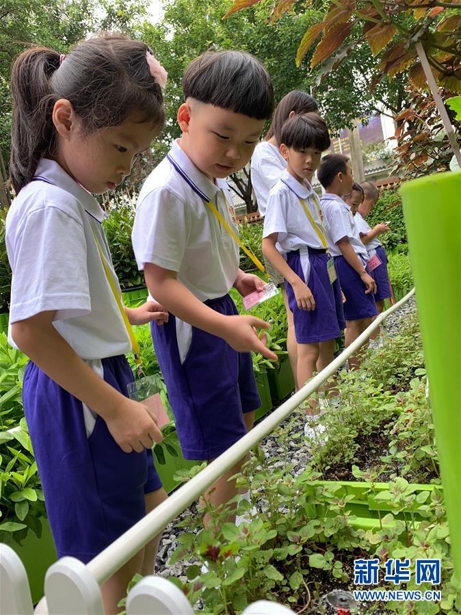 （新华全媒头条·开学季·图文互动）（4）新学期是彩色的——各地2019年秋季学期开学典礼扫描