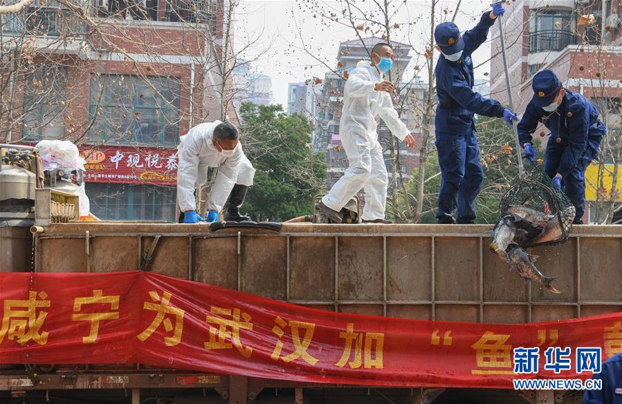 （新华全媒头条·图文互动）（12）从人民中汲取磅礴力量——习近平总书记同出席2020年全国两会人大代表、政协委员共商国是纪实