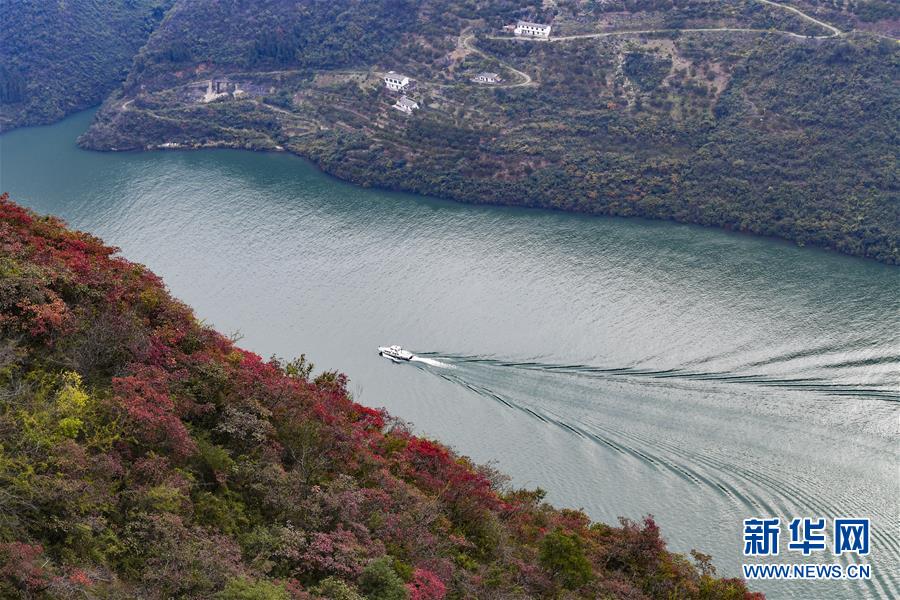 （新华全媒头条·图文互动）（14）待到满山红叶时——三峡重庆库区践行新发展理念面面观