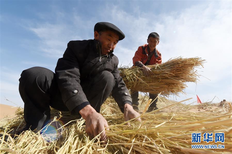 （在习近平新时代中国特色社会主义思想指引下——新时代新作为新篇章·习近平总书记关切事·图文互动）（5）绿色映底蕴，山水见初心——生态优先、绿色发展持续造福群众美好生活