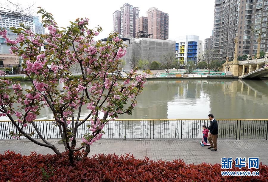 （新华全媒头条·走向我们的小康生活·图文互动）（12）城市，让人民生活更美好