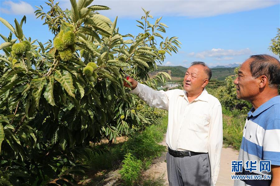 （新华全媒头条·走向我们的小康生活·图文互动）（11）长城脚下，小康村串成“珍珠链”