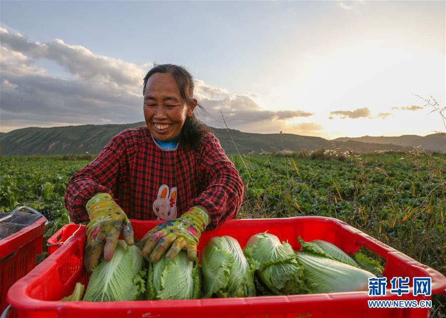 （新华全媒头条·决战决胜脱贫攻坚·督战未摘帽贫困县·图文互动）（1）不获全胜，决不收兵——全国52个挂牌督战贫困县脱贫攻坚纪实