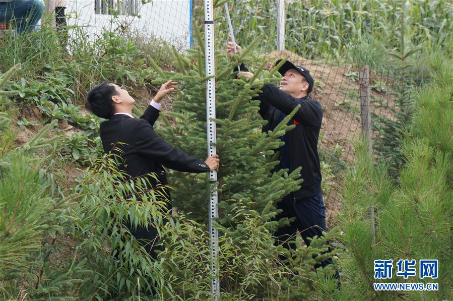 （决战决胜脱贫攻坚·图文互动）（2）甘肃定西黄土高坡上，有片“福州林”