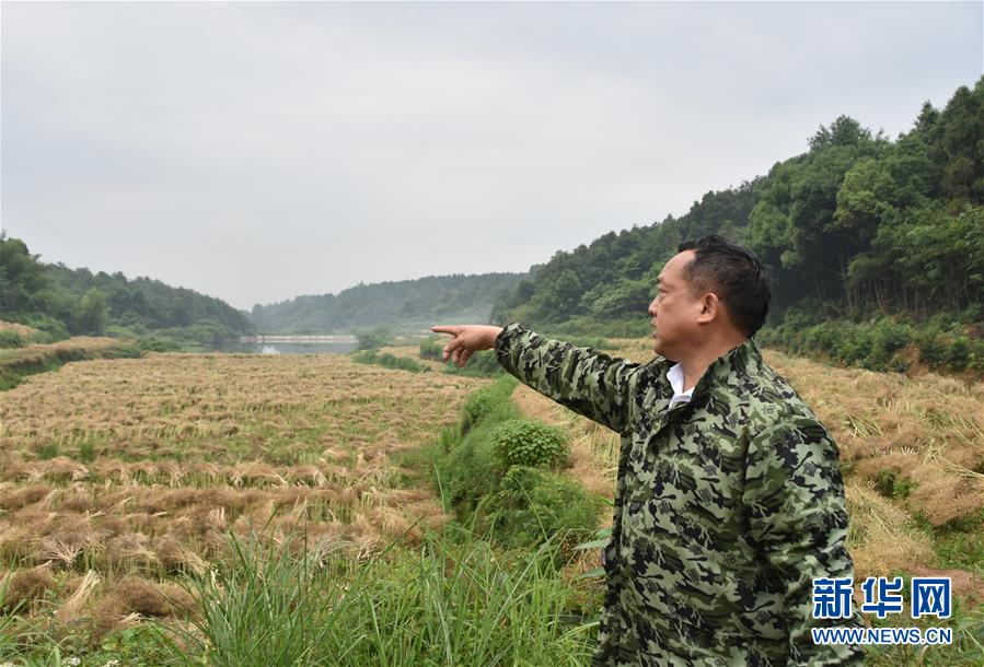 （代表委员履职·图文互动）（2）“我是农民代表，始终关注农村”——全国人大代表沈昌健的履职故事