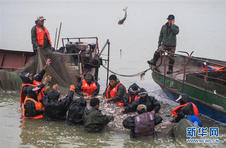 （新华全媒头条·图文互动）（11）奋力书写东北振兴的时代新篇——习近平总书记调研东北三省并主持召开深入推进东北振兴座谈会纪实