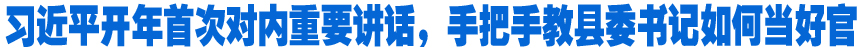 习近平开年首次对内重要讲话，手把手教县委书记如何当好官