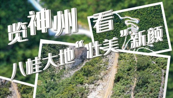 广西：走好生态脱贫路 让荒山披绿穷岭生金