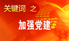 王京清：加强党建必须倍加珍惜、始终坚持、不断发展